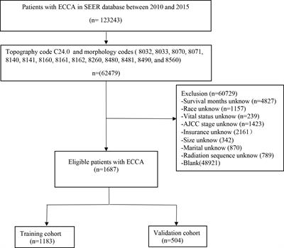 Establishment and validation of a prognostic nomogram for extrahepatic cholangiocarcinoma